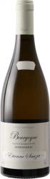 Domaine tienne Sauzet - Bourgogne Blanc 2022 (750ml) (750ml)