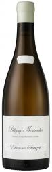 Domaine tienne Sauzet - Puligny-Montrachet 2022 (750ml) (750ml)