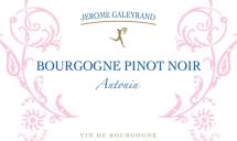 Domaine J�r�me Galeyrand - Bourgogne 'Antonin' 2022 (750ml) (750ml)